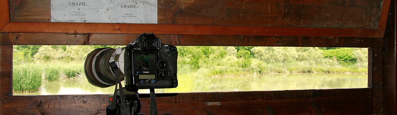 4 LUOGHI DOVE PRATICARE BIRDWATCHING NEL CUNEESE